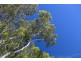 48 Lurnea Avenue, Bawley Point NSW 2539