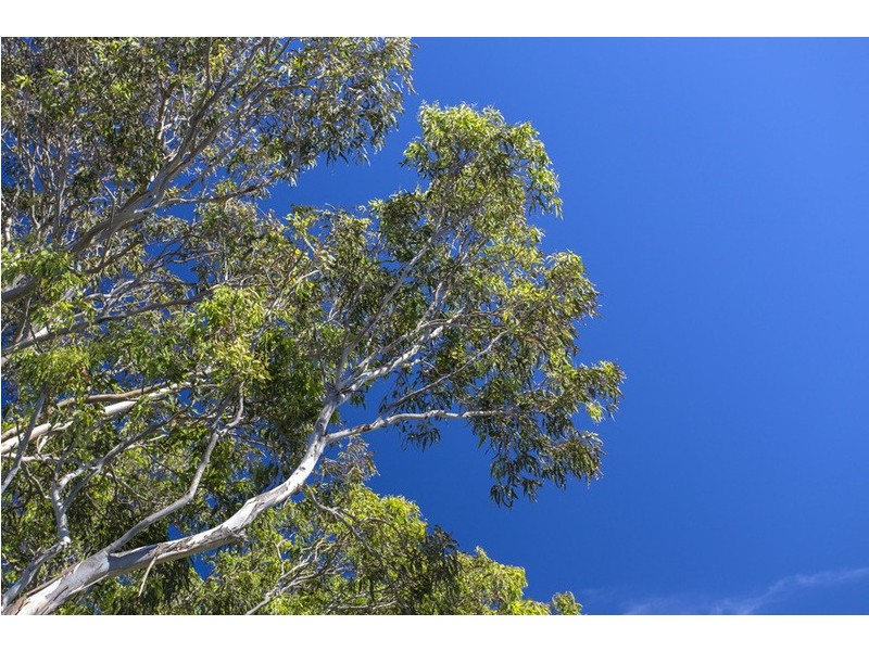 48 Lurnea Avenue, Bawley Point NSW 2539