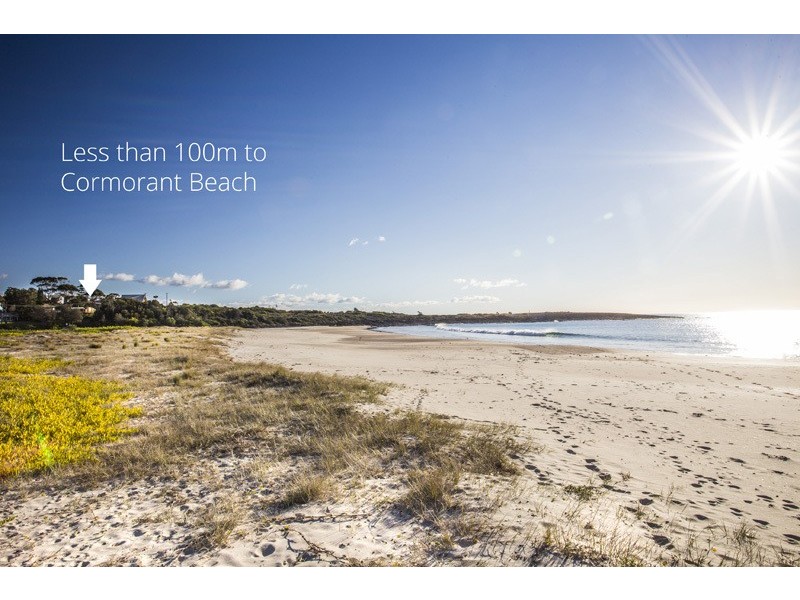 56 Tingira Drive, Bawley Point NSW 2539