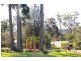 1 Anglers Parade, Fishermans Paradise NSW 2539