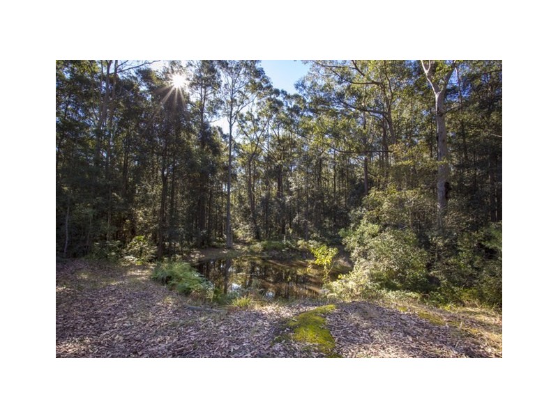 14 Brooman Road, Morton NSW 2538