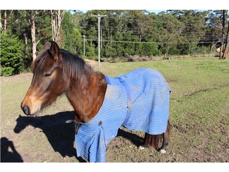 Lot 210, Tuckerman Road, Ulladulla NSW 2539