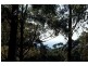 Lot 1 Woodburn Road, Morton NSW 2538