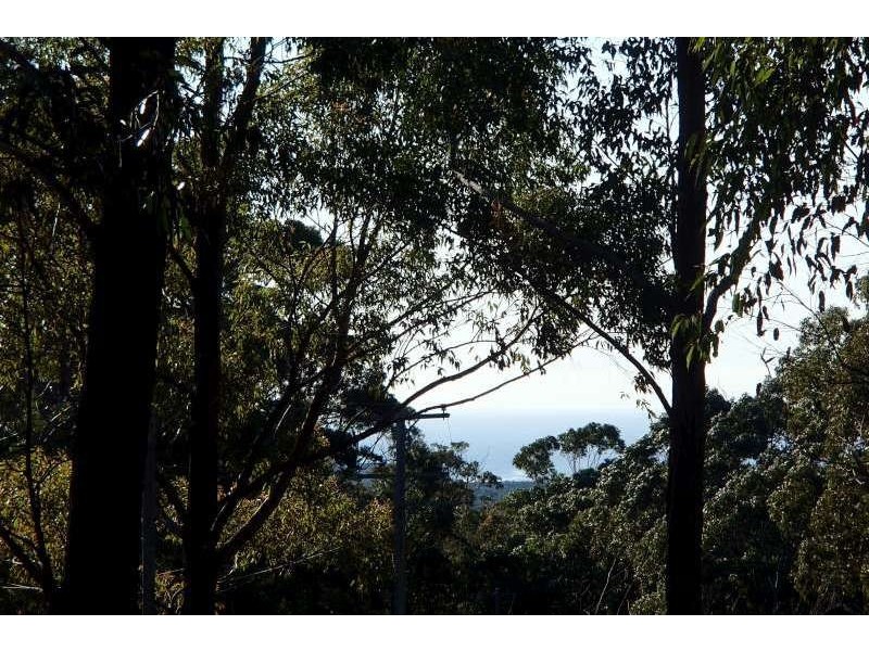 Lot 1 Woodburn Road, Morton NSW 2538