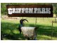 The Sheep Track, Brooman NSW 2538