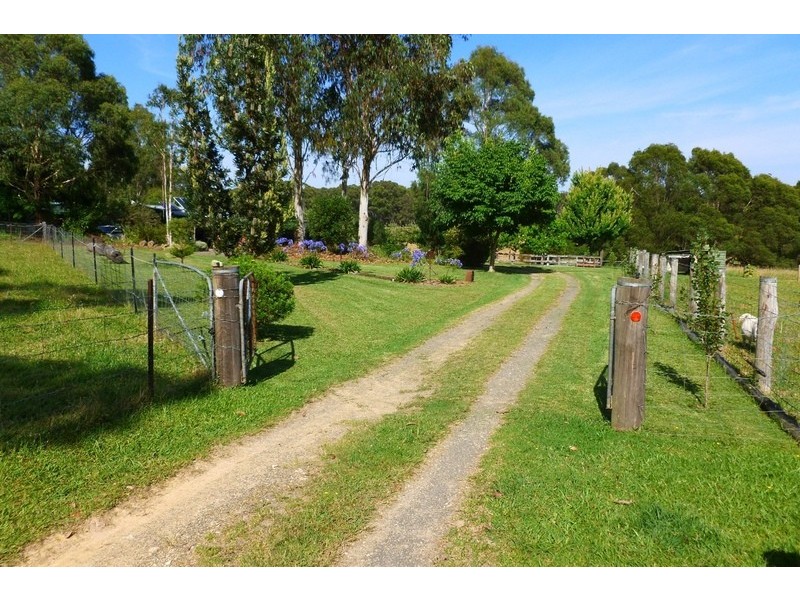 The Sheep Track, Brooman NSW 2538