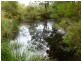 The Sheep Track, Brooman NSW 2538