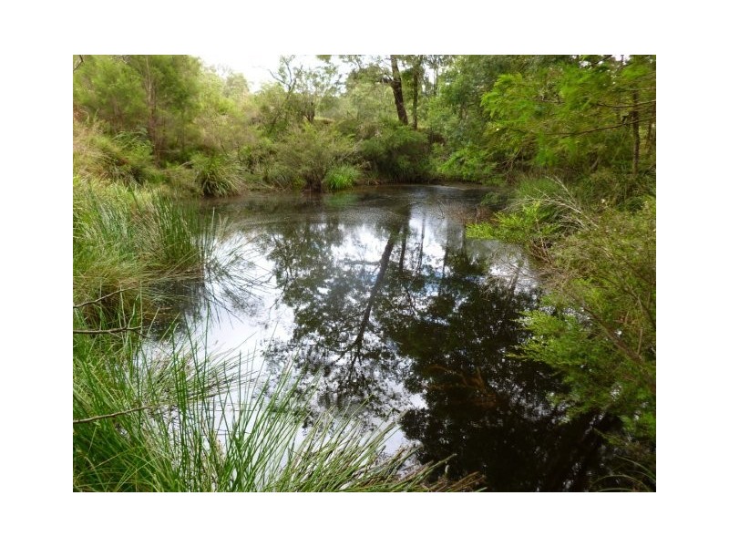 The Sheep Track, Brooman NSW 2538