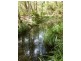 The Sheep Track, Brooman NSW 2538