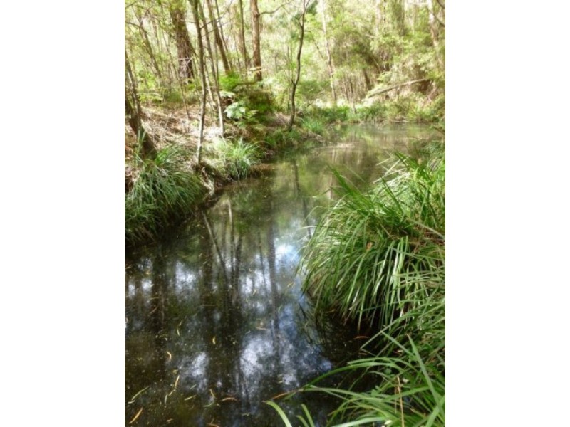 The Sheep Track, Brooman NSW 2538
