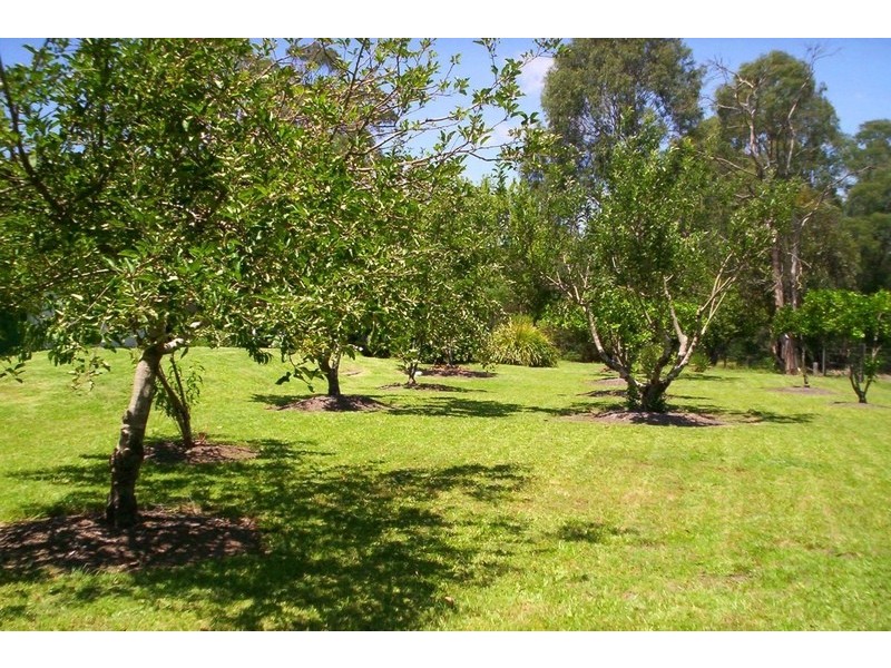 The Sheep Track, Brooman NSW 2538