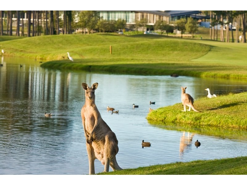 2605 The Address Avenue, Sanctuary Cove QLD 4212