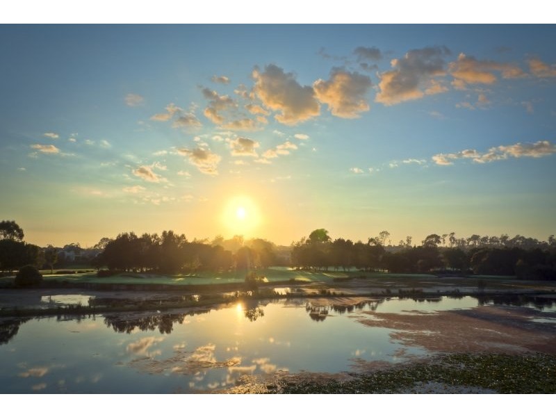 20 Peninsula Drive, Robina QLD 4226