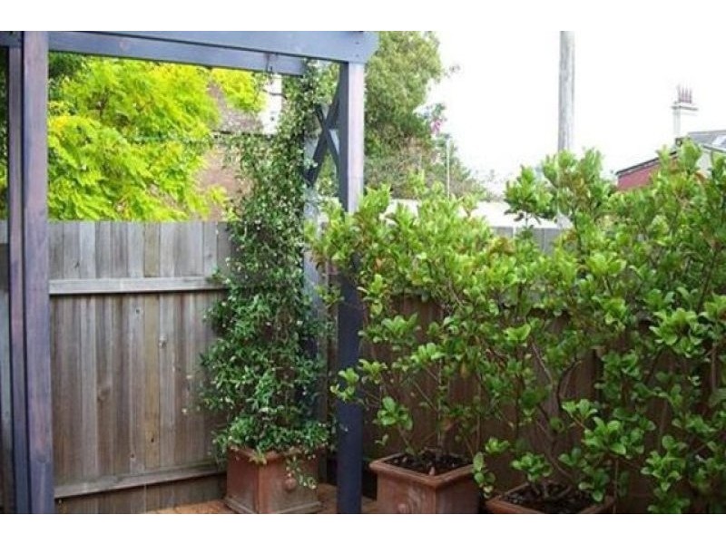 54 Adelaide Street, Bondi Junction NSW 2022