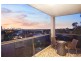 11/17 Gowrie Avenue, Bondi Junction NSW 2022