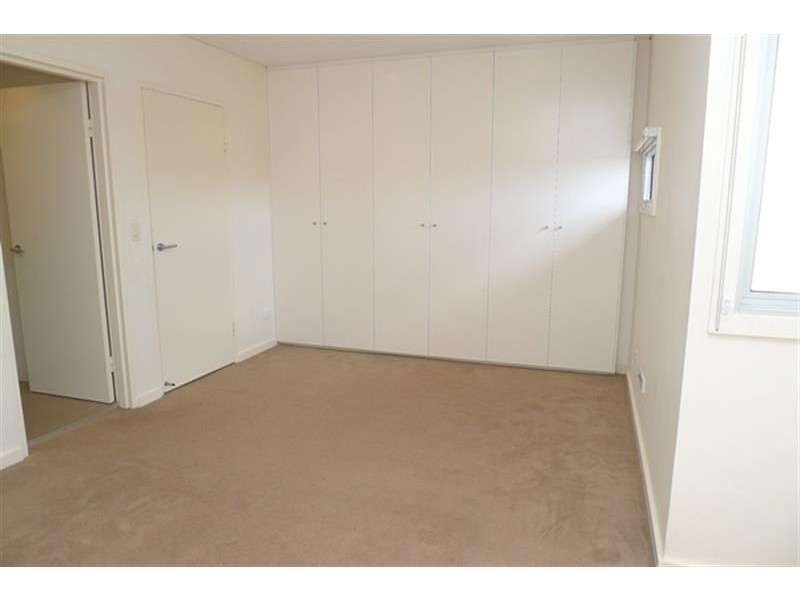 12/69-87 Dangar Street, Randwick NSW 2031