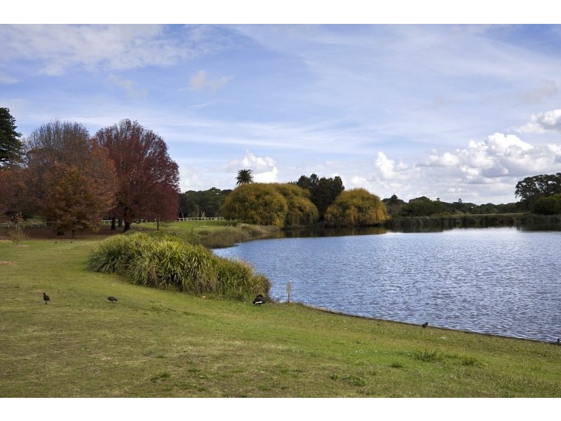 2/19A Poate Road, Centennial Park NSW 2021