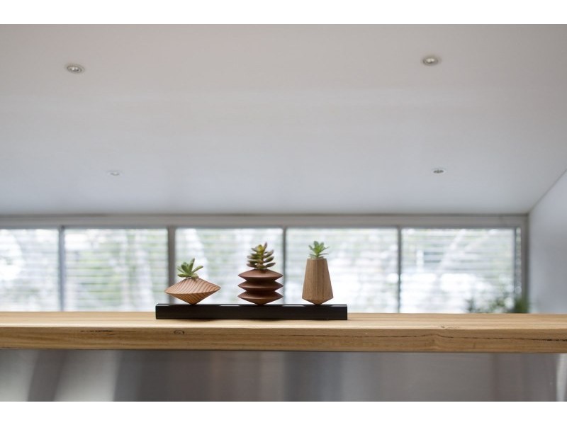 12/466 Wilson Street, Darlington NSW 2008