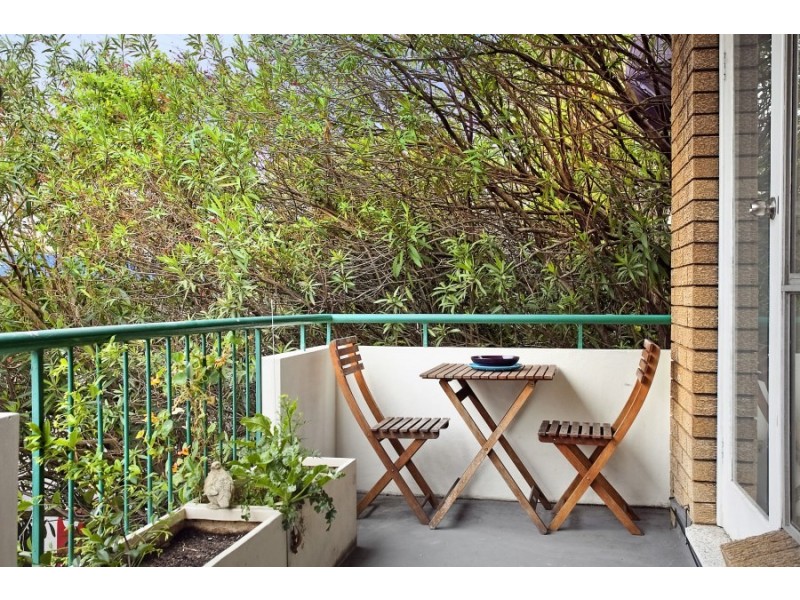 2 /76 Albion Street, Randwick NSW 2031