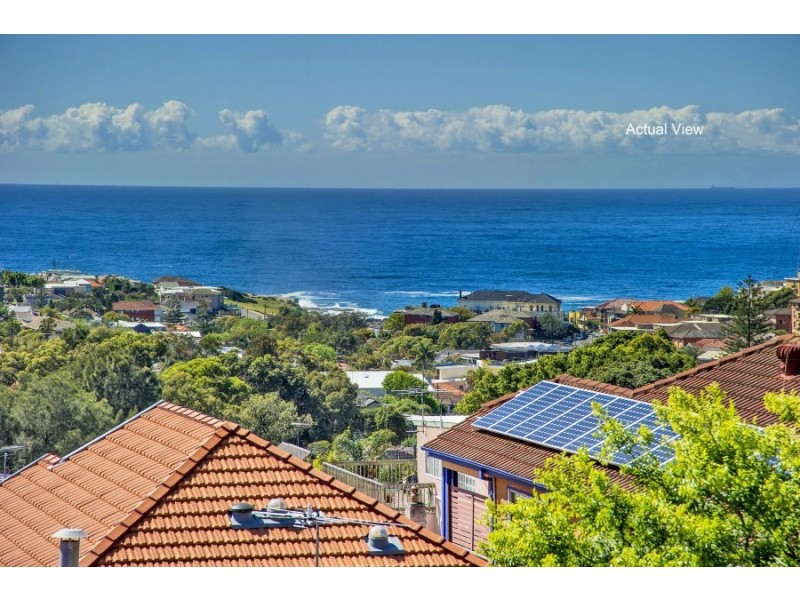 3 Seaview Street, Clovelly NSW 2031