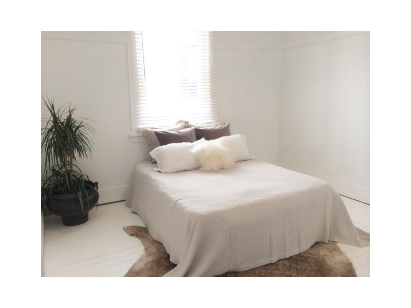 19 Darling Street, Bronte NSW 2024