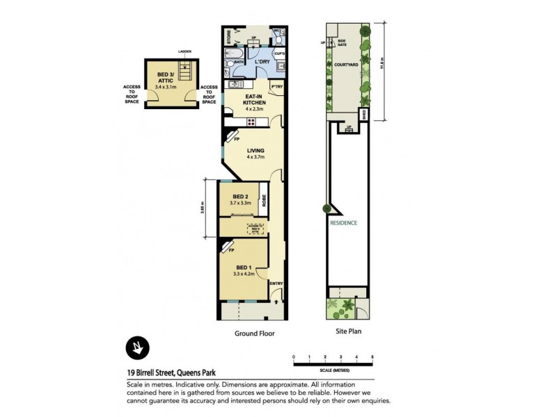 19 Birrell Street, Queens Park NSW 2022 Floorplan