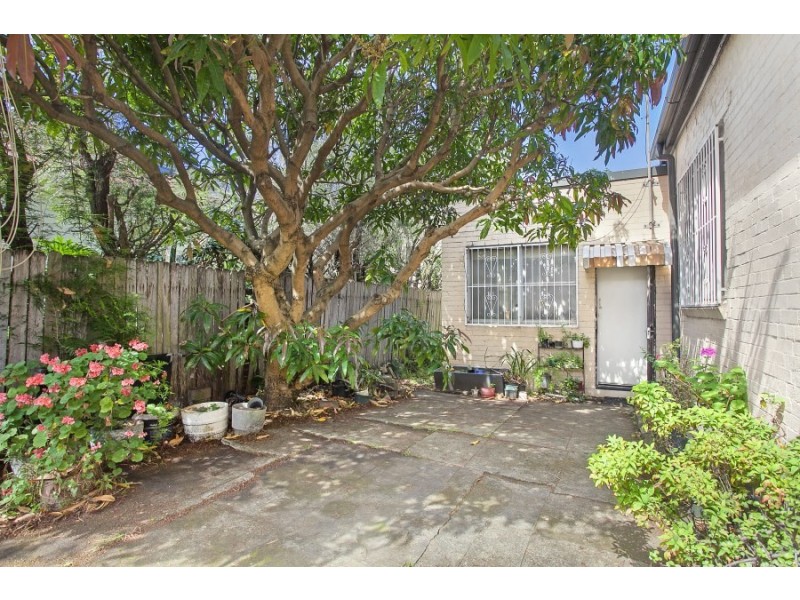 6 Alfred Street, Bronte NSW 2024