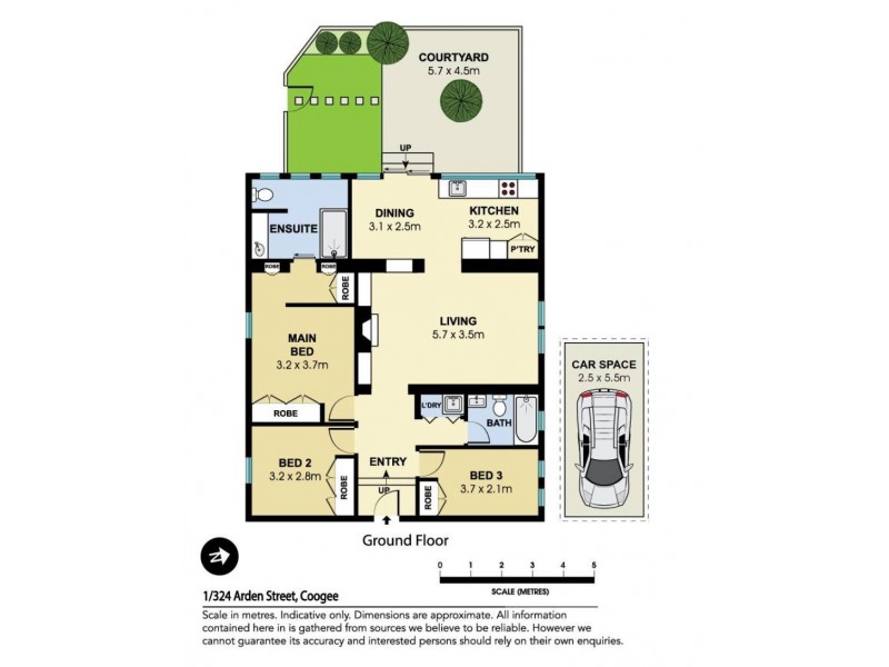 1/324 Arden Street, Coogee NSW 2034 Floorplan