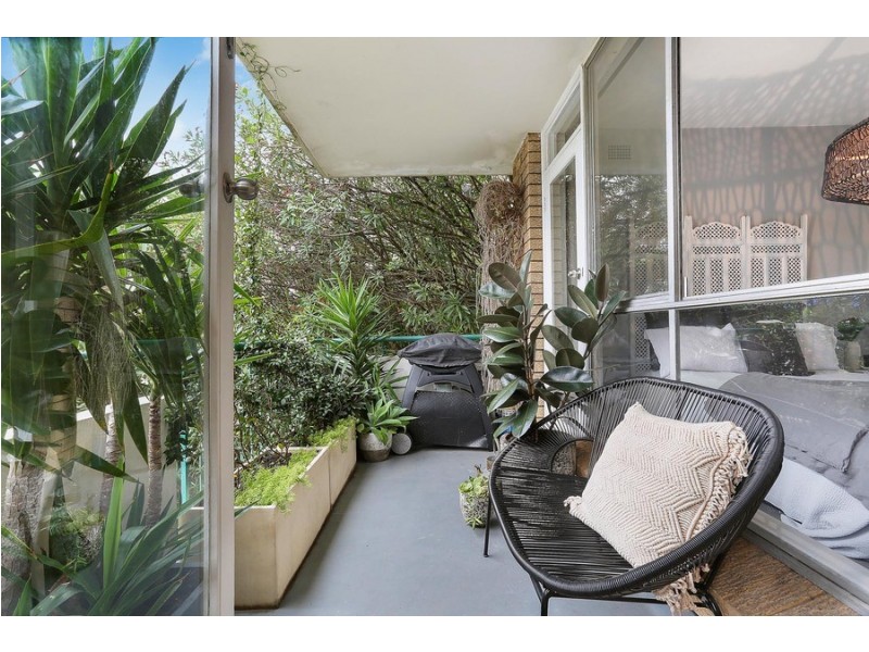 2 /76 Albion Street, Randwick NSW 2031