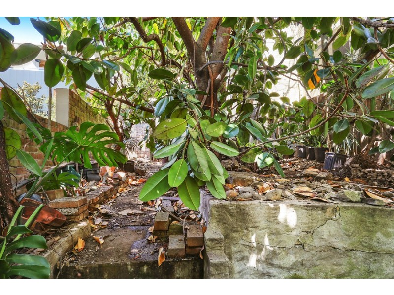 162 Bourke Street, Darlinghurst NSW 2010