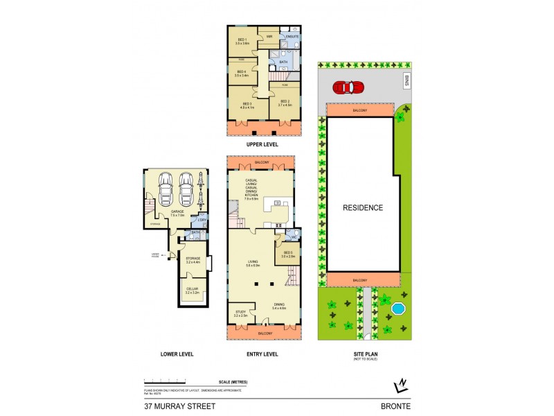 37 Murray Street, Bronte NSW 2024 Floorplan