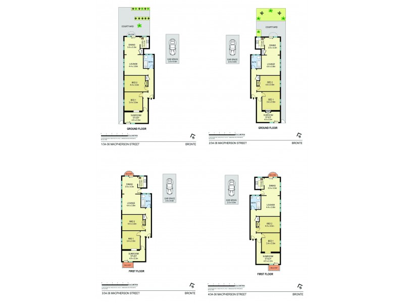 34-36 Macpherson Street, Bronte NSW 2024 Floorplan