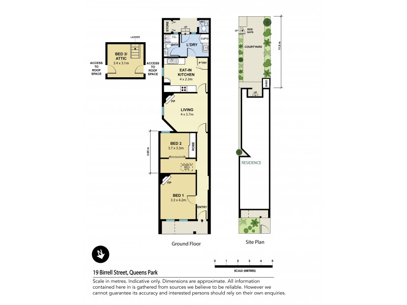 19 Birrell Street, Queens Park NSW 2022 Floorplan