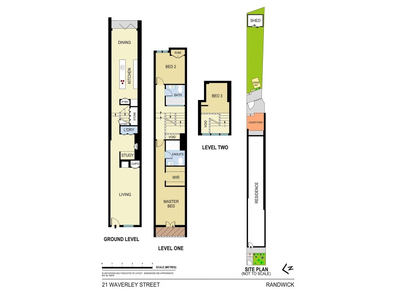 21 Waverley Street, Randwick NSW 2031 Floorplan
