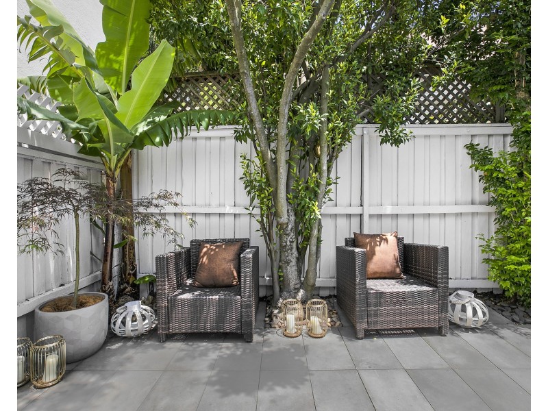 6 Wentworth Street, Paddington NSW 2021