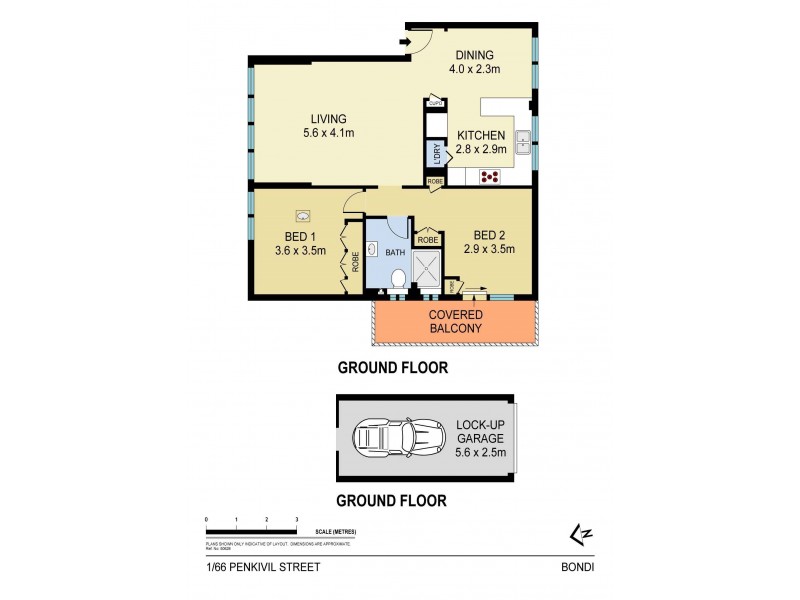 1/66 Penkivil Street, Bondi NSW 2026 Floorplan