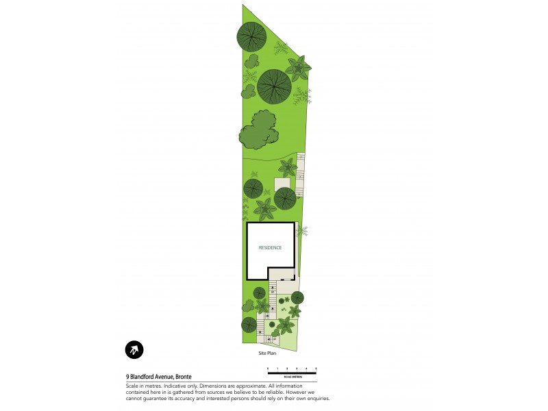 9 Blandford Avenue, Bronte NSW 2024 Floorplan