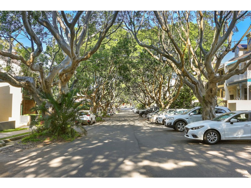 25 Wiley Street, Waverley NSW 2024