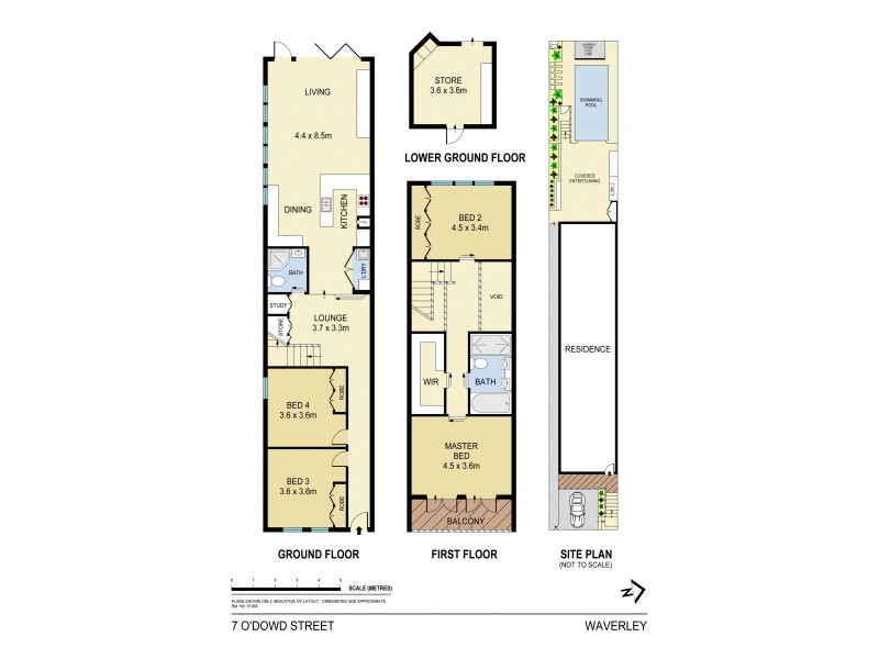 7 O’Dowd Street, Waverley NSW 2024 Floorplan