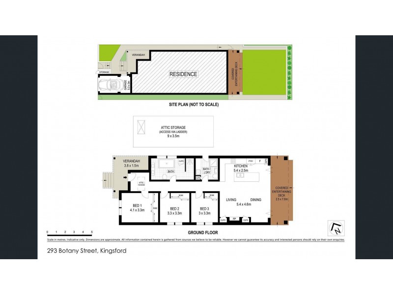 293 Botany Street, Kingsford NSW 2032 Floorplan