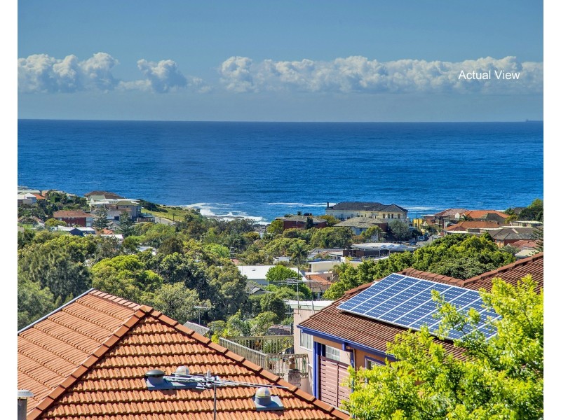 3 Seaview Street, Clovelly NSW 2031