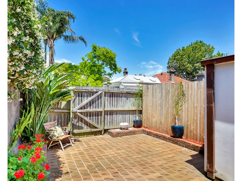 5 Walter Street, Bondi Junction NSW 2022