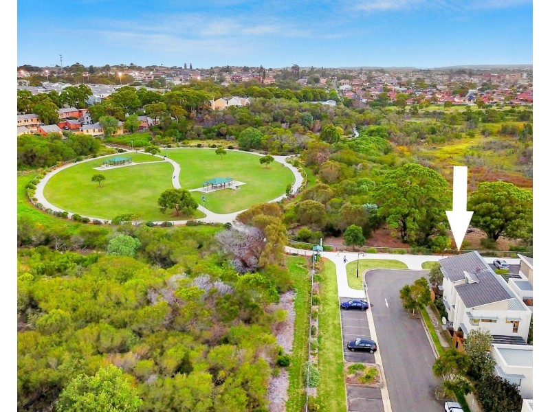 8 Burragulung Street, Randwick NSW 2031