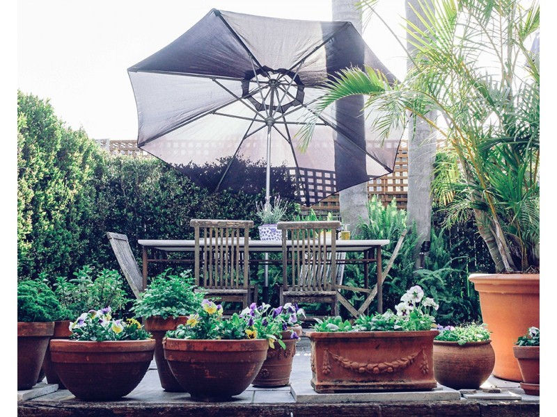 37 Mill Hill Road, Bondi Junction NSW 2022