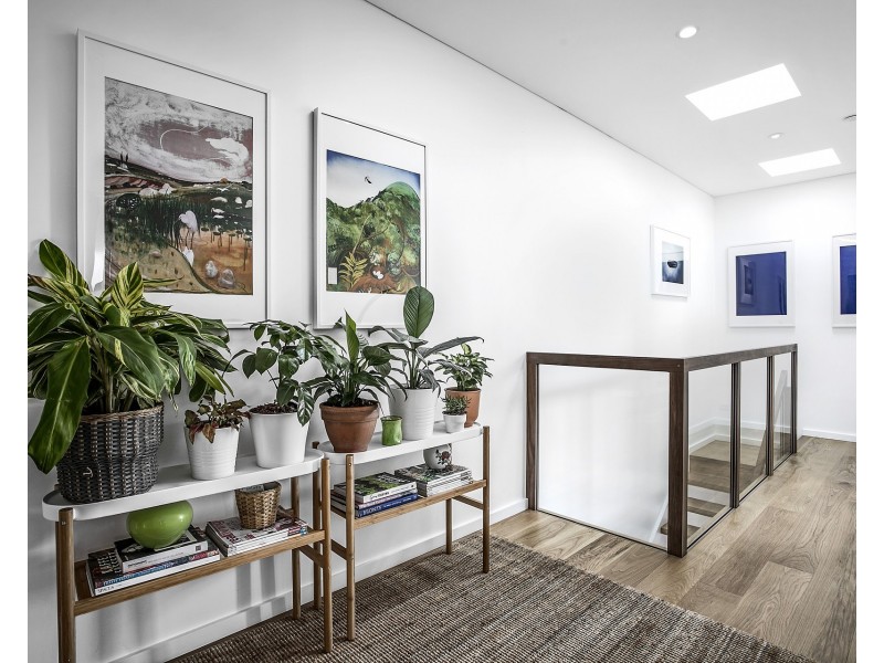 33 Salisbury Street, Waverley NSW 2024