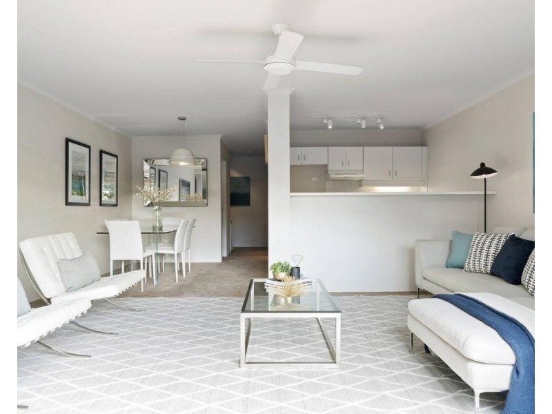 20/110 Cascade Street, Paddington NSW 2021