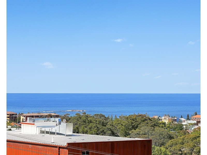 3/138 Carrington Road, Randwick NSW 2031