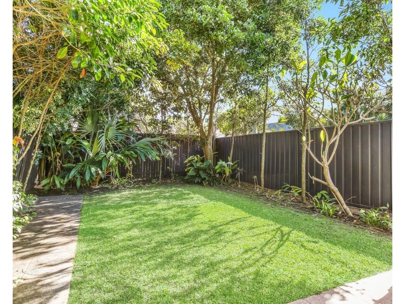 16 Clifton Road, Clovelly NSW 2031