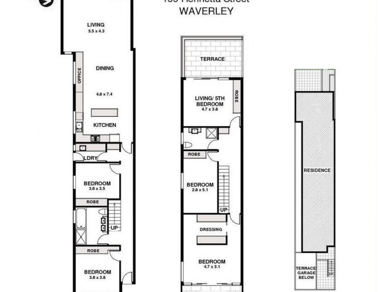 135 Henrietta Street, Waverley NSW 2024