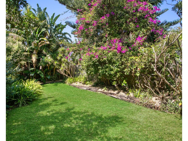 66 Watson Street, Bondi NSW 2026